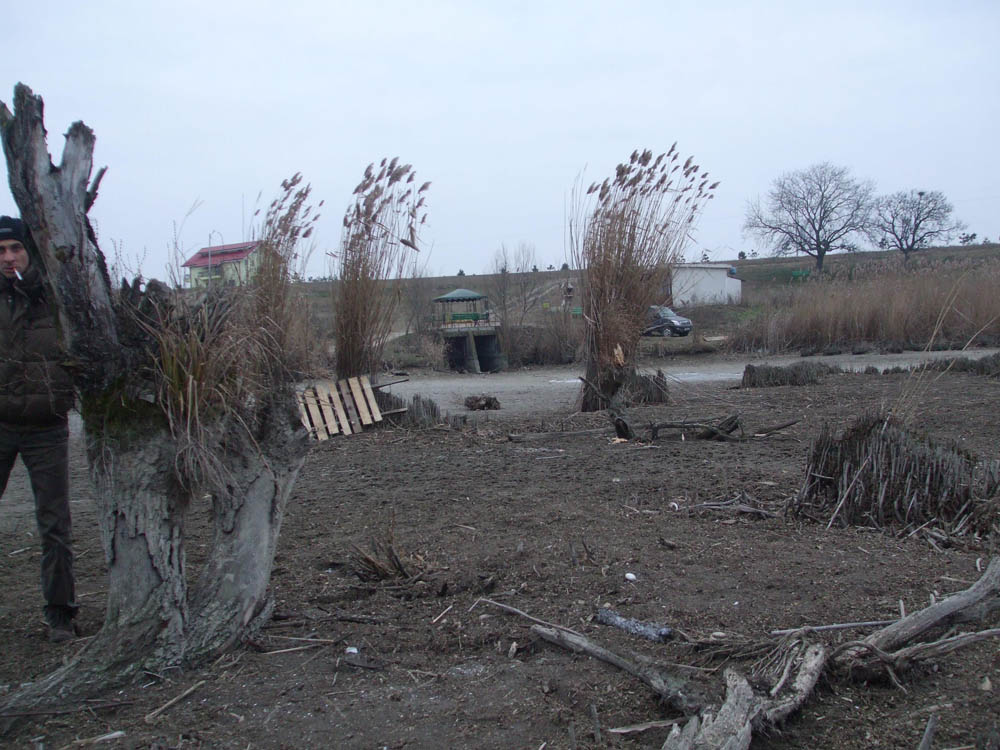 TANCABESTI SECAT - DSCF3459.jpg